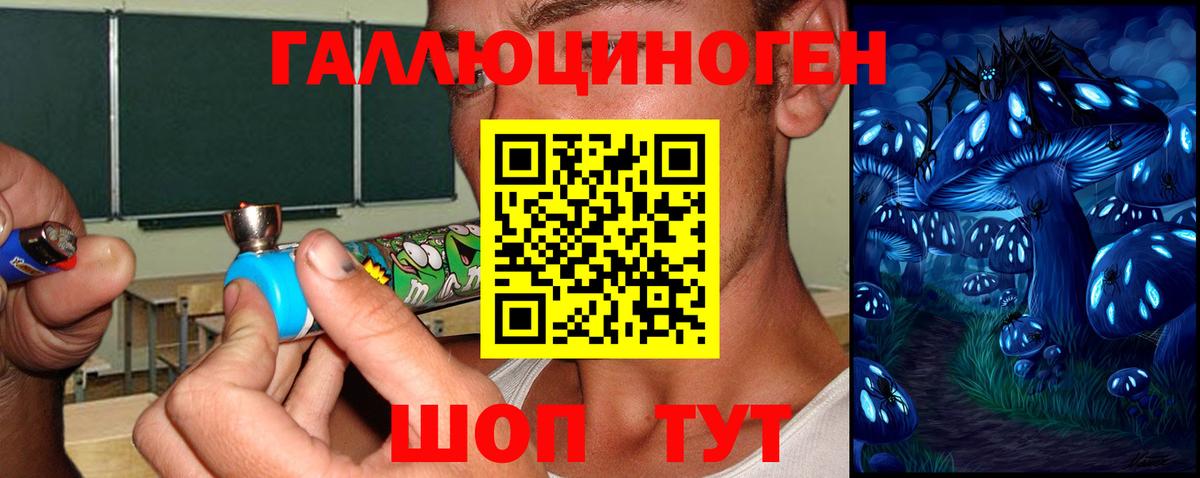 Новодвинск  Галлюциногенные грибы ЛСД  Вход с VPN 